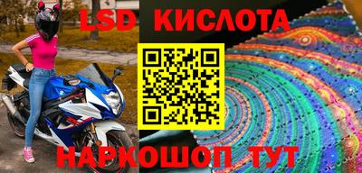 шишки Лесосибирск