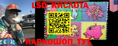 шишки Лесосибирск